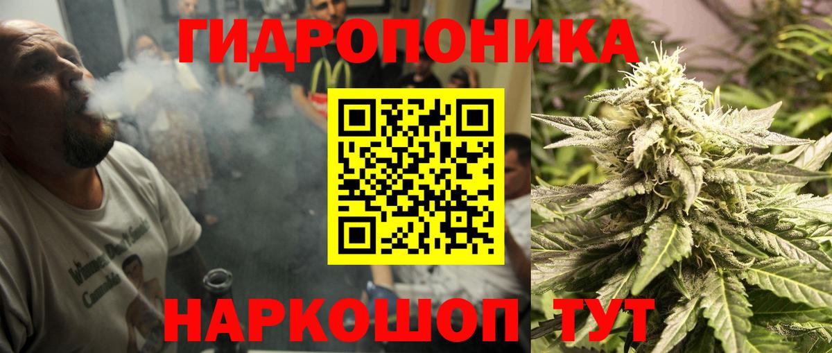 Кашира  Шишки марихуана OG Kush  Вход с VPN  Марихуана VHQ  Каннабис марихуана 